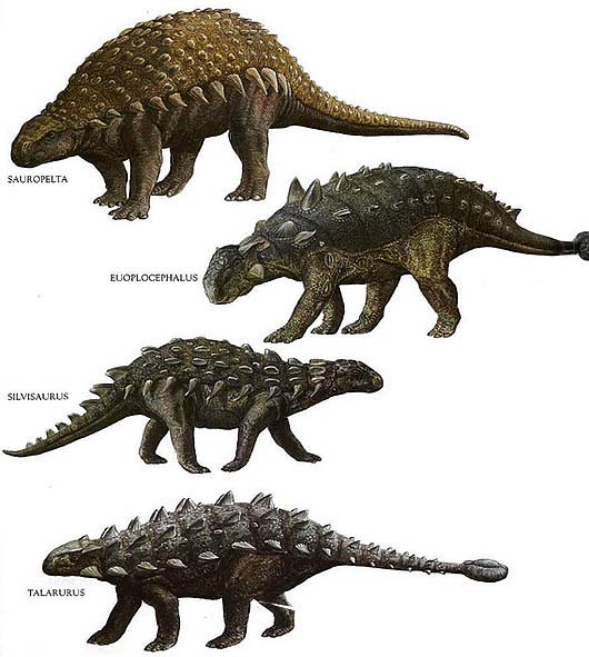 types of armored dinosaurs