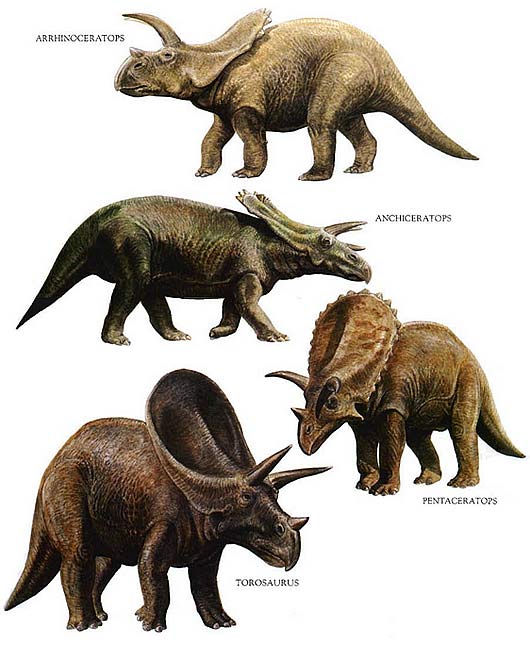 types of dinosaurs