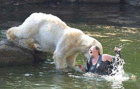 woman at zoo polar bear