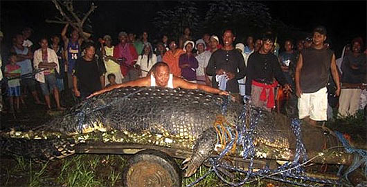 giant croc