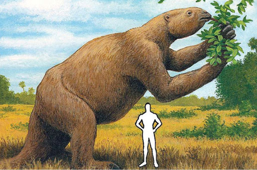 giant sloth size