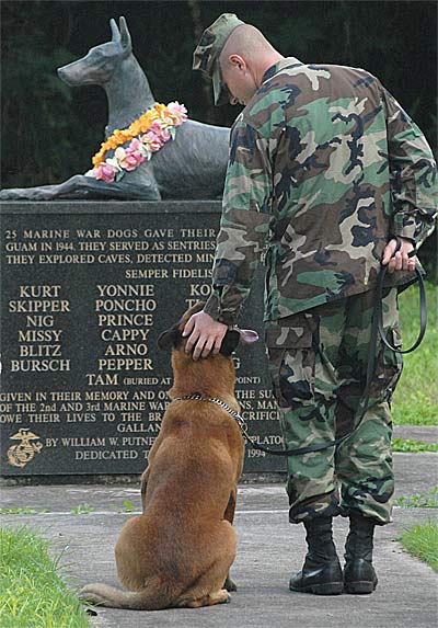 military dog cemetery