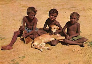 aborigines dingo