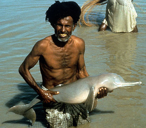 indian man river dolphin
