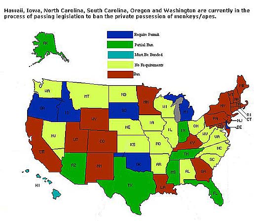state by state restrictions, requirements for buying primates