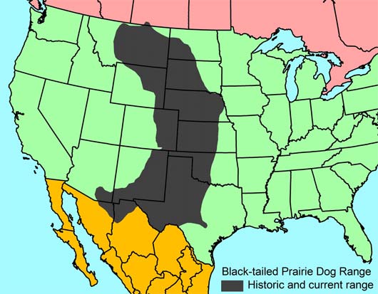 black tailed prairie dog map