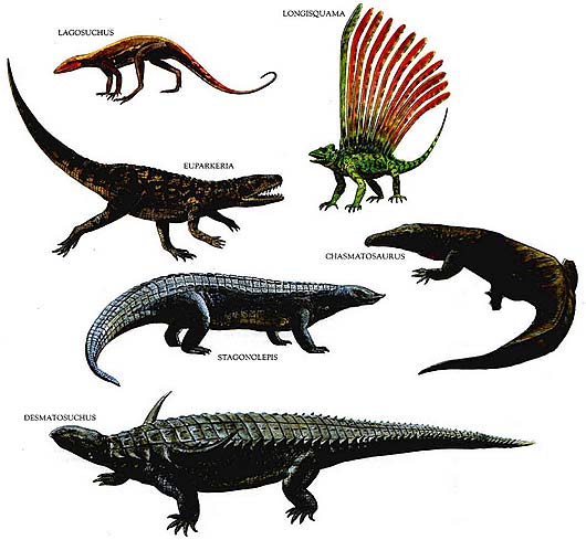 early reptile forms