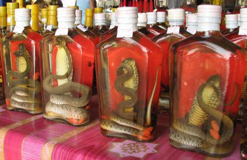 Snake Whiskey in Thailand